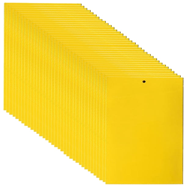 200 Piezas TRAPS Sticky Doble Lado SUMINADORES JARDIENCIA (20x10 Cm) Amarillo