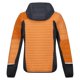 thumbnail image 2 of Regatta - Chaqueta con Capucha Trutton II de Deflector para Mujer (Albaricoque Crush, Gris Seal), 2 of 3