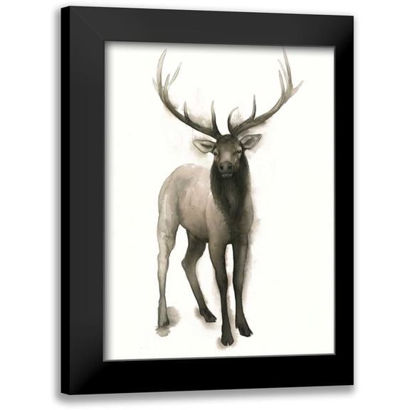 Popp, Grace 11x14 Black Modern Framed Museum Art Print Titled - Majestic Wildlife II