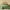 Dark Green, variant on Davulos Reversible Twin Quilt Bedding Set with Pillow Sham Lightweight Quilts Twin Size Soft Bedspreads Bed Coverlets for All Seasons(Light Green, 68"x85")