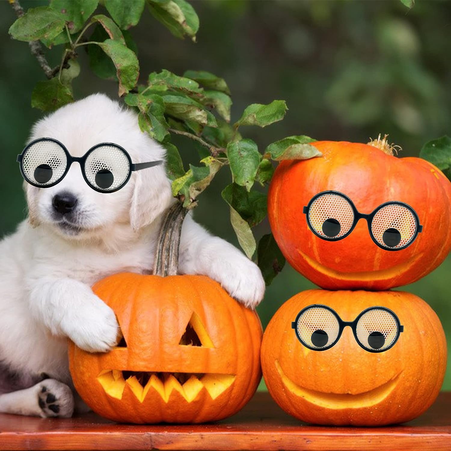 Funny Costume Eyewear BOZILY 6Pcs Shaking Googly Eyes Glasses Giant ...