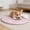 Pink, variant on Pet Cooling Mat For Dogs And Cats, Breathable Cooling Pet Mat, Foldable Travel Cooling Pet Mat, Washable Sleeping Pet Mat, Sofa Floor Cooling Pet Bed, Summer Comfort Pet Mat