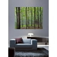 thumbnail image 1 of Krieg Forest Glossy Poster, 1 of 1