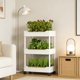 thumbnail image 4 of Soporte para plantas con ruedas | Carrito de almacenamiento móvil | Estantería de 3 o 4 niveles para uso interior y exterior, 4 of 6