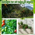 thumbnail image 3 of Clips ajustables para entrenamiento para plantas pack de 60 – clips para tallos de jardín de bajo estrés, soporte ajustable 360°, plástico reutilizable, negro blanco verde, plegado de 3,2 cm, 3 of 8