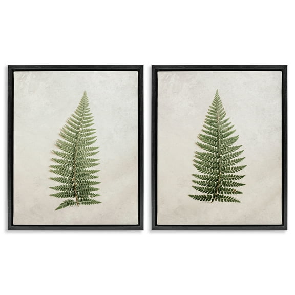 Stupell Industries Realistic Fern Leaves Plants & Flowers Painting Black Floater Framed Canvas Art Print Wall Art, 17 x 21, Set of 2