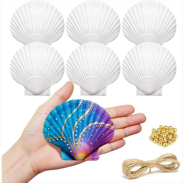 Conchas de Vieira para Manualidades, con Hilo y Cuentas, Ideales para Pintar, Hacer Manualidades y Decorar Bodas en la Playa.
