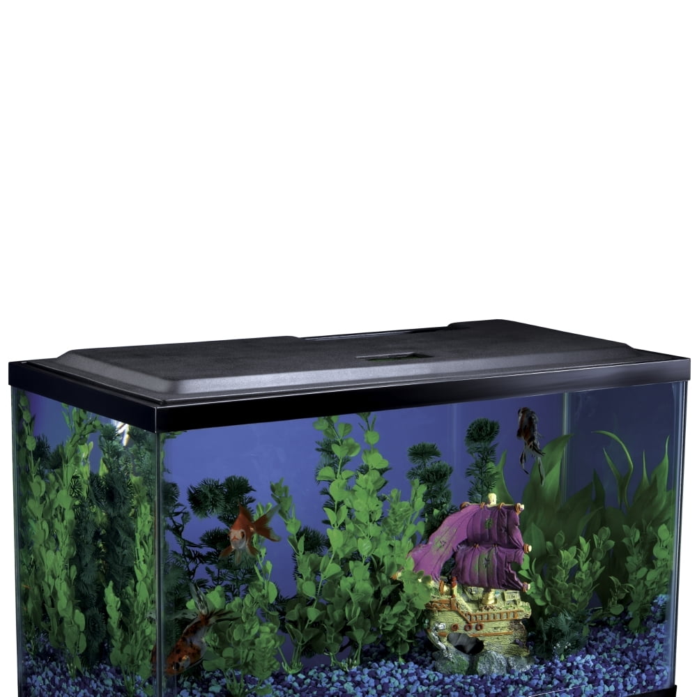 Aquarium Starter Kit Fish Tank Hood 10 Gallon LED Light Water Filter