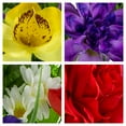 thumbnail image 3 of Sympathy Silks Artificial Cemetery Flowers Red Purple Yellow Orchid Mix 2 Bouquets & Saddle with Vases, 3 of 9