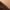 Brown, variant on Babysbule Boots for Women Winter Women's Middle Heel Belt Buckle Round Suede Solid Color High Winter