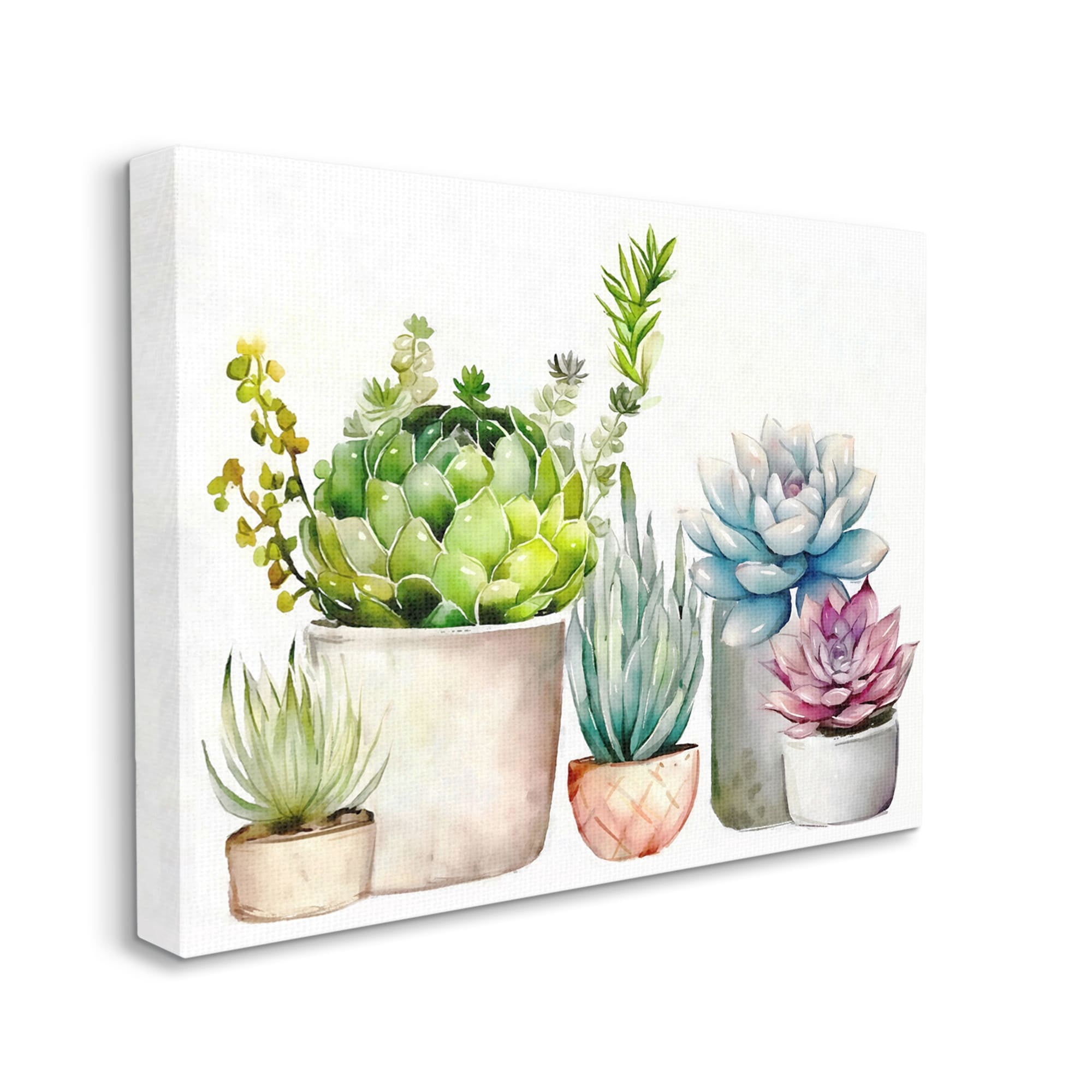 Stupell Industries Succulent Plants Floral Nature Botanical & Floral Painting Gallery Wrapped Canvas Print Wall Art