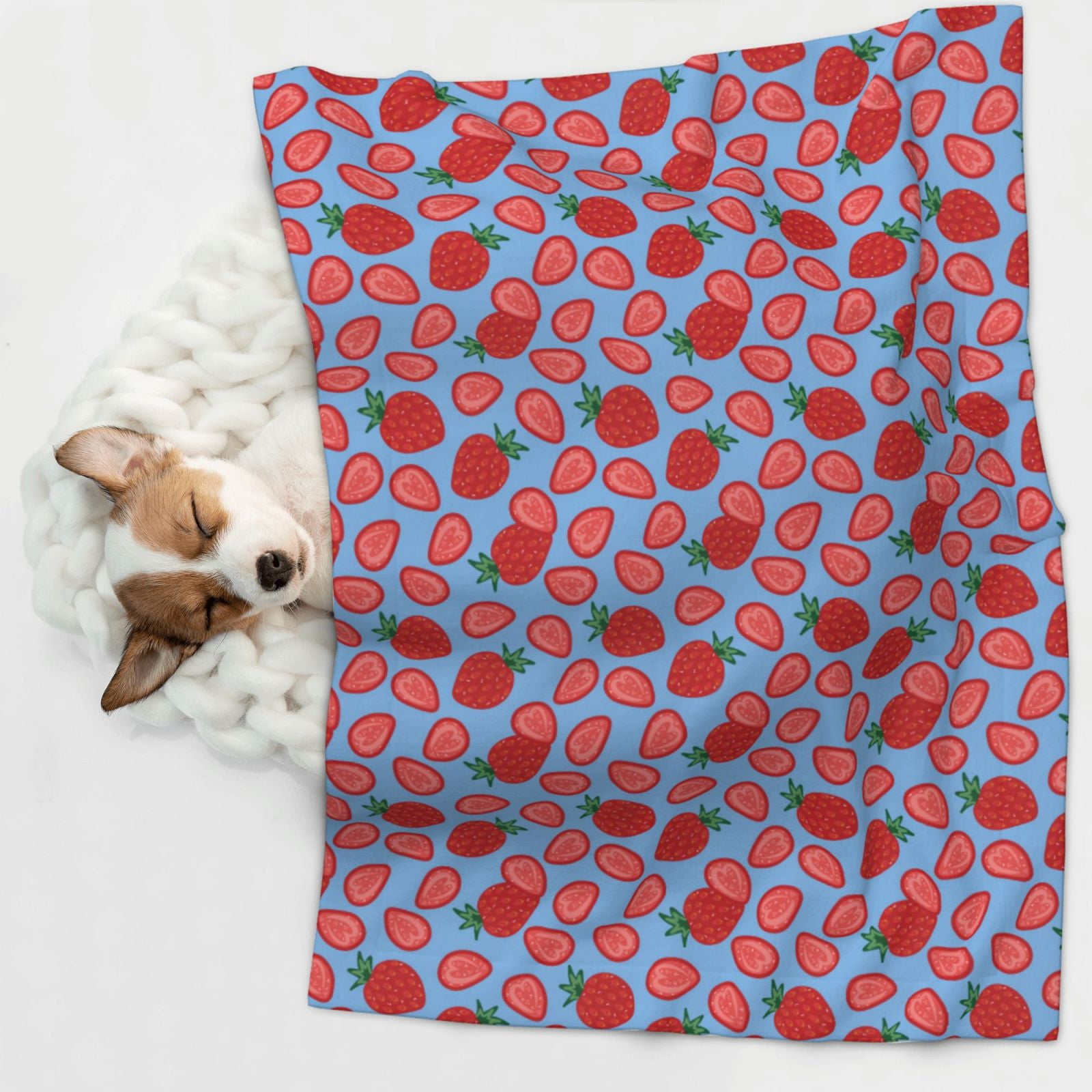 Naloa Strawberries Dog Blanket, 3 Sizes Cat Blanket for Indoor Cats Large Medium Small Dog Gifts-Small