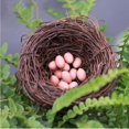 thumbnail image 2 of DOLITY Dia inch Rattan Vine Feeder Bird House Feeder Perfect Gift Present Sill Decor 30cm, 2 of 9