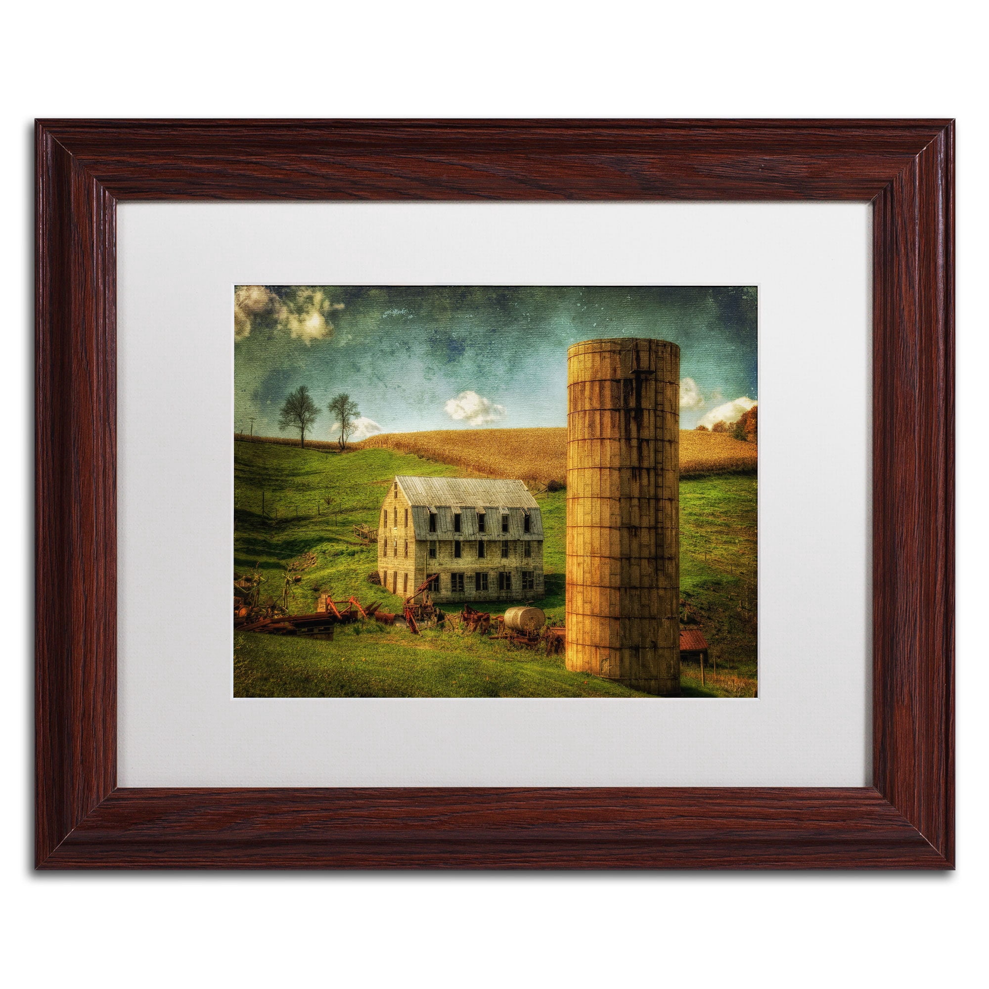 Trademark Fine Art "His Pride and Joy" Canvas Art by Lois Bryan, White Mat, Wood Frame