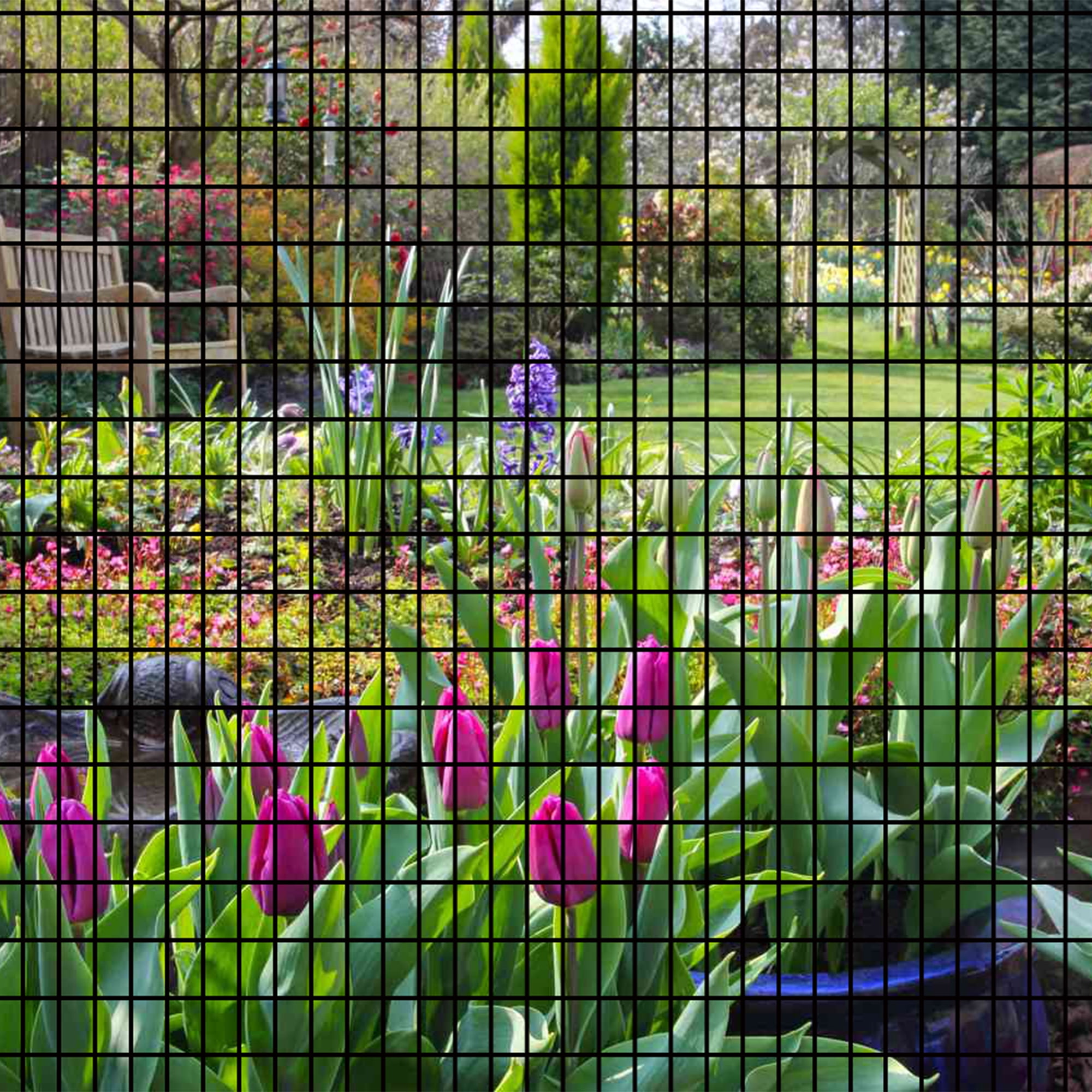 36in x 50ft Black Vinyl Coated Hardware Cloth Welded Wire Mesh fence, PVC Coated Welded Chicken Wire Fencing, Metal Garden Plant Fencing for Chicken Coop and Home Improvement