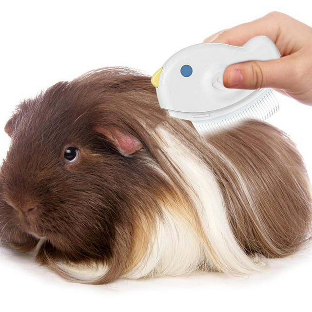 Peine Xihbxyly herramienta especial para eliminar pelos sueltos y largos de gatos