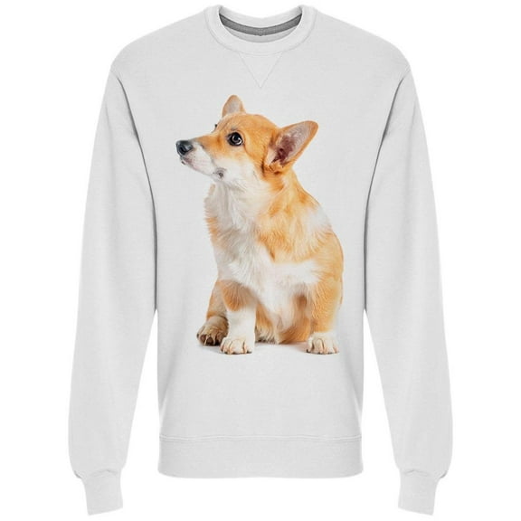 Pembroke Possing On His Side Sweatshirt Men -Image by Shutterstock Men Sweatshirt, Male x-Large