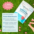 thumbnail image 4 of WONDERCOW Colostrum Gummies, Natural IgG Whole Bovine Colostrum Supplement, 1000mg per Serving, 90 Gummies, 30 Servings, Strawberry Cream, 4 of 10