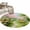 SpringGreen, variant on Spring Pink Green Round Area Rug 4Ft Washable Circle Rugs for Bedroom Dining Room, Pastoral Oil Painting Country Flowers Non-Slip Carpet Floor Mats Indoor Outdoor Carpet Runner Aesthetic Home Decor