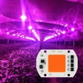 thumbnail image 3 of Gostot 3000K 6500K Full Spectrum High Power 110/220V Smart IC 20W 30W 50W Driverless COB LED Chip for Plant Growing Lamp Floodlight, 3 of 7