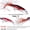 C, variant on Fishing Tools Squid False Bait 23CM/40G Plastic Octopus Bionic Bait With Fish Hook Color Luminous Beard Fishing Gear Accessories
