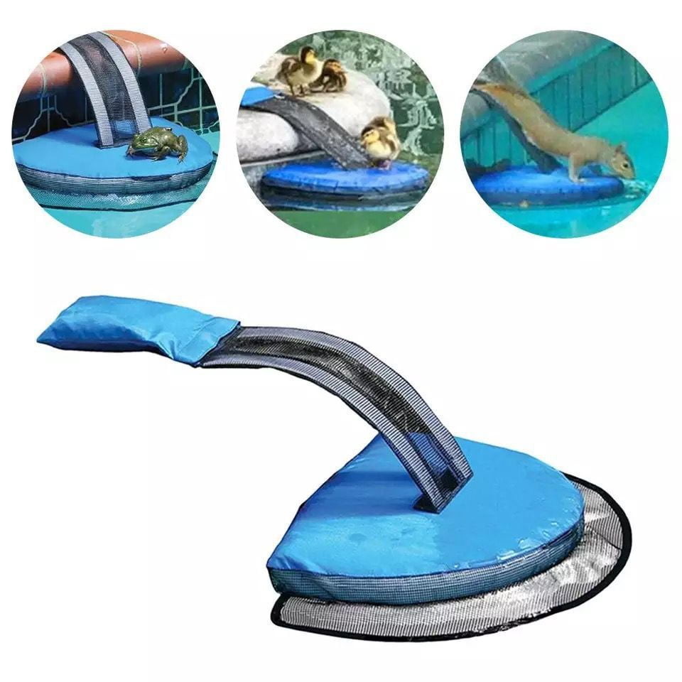 LONGRV Inflatable Swimming Pool Rescue Escape Ramp for Chipmunk Turtle