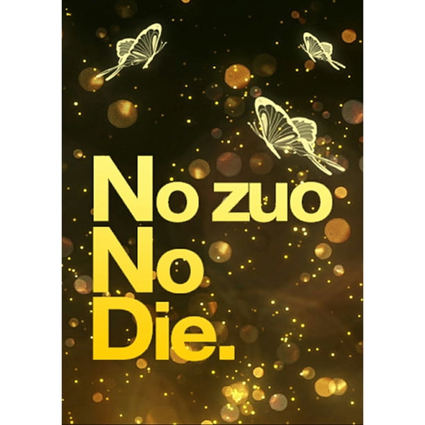 Diamond Painting (DB1123) DIY Kit Square Handicraft (B576 No Zuo No Die) 45x60cm FLhrweasw Nuevo