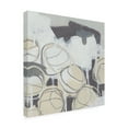 thumbnail image 2 of Trademark Fine Art 'Granite Rose IV' Canvas Art by June Erica Vess, 2 of 3
