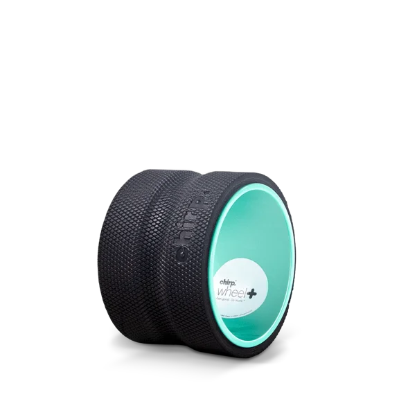 Chirp Wheel Plus 6" - DTC