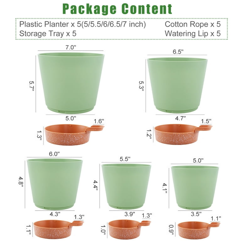 white plant saucer White Terracotta Pot with Water Saucer