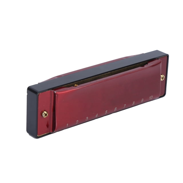 Rdeghly 20 Tone Harmonica, Harmonica Playing Harmonica For Beginner For Professional