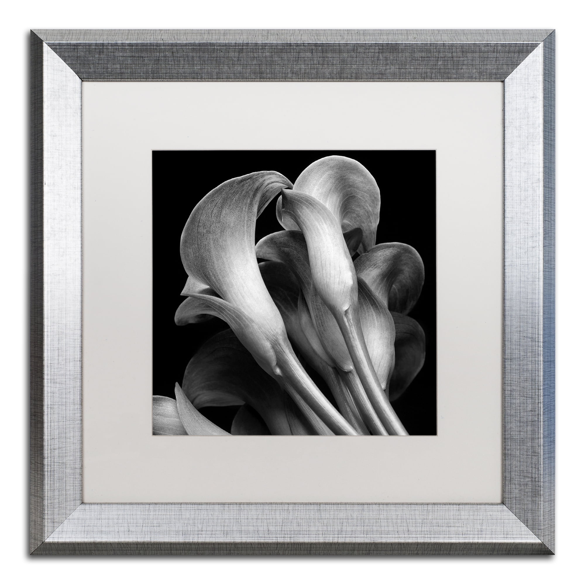 Michael Harrison 'Lillies' Matted Framed Art