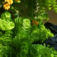 thumbnail image 3 of unbranded 4Ud Flores Falsas Para En Interiores Con Aspecto Natural Y, 3 of 8