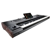 Korg Pa5X 61-Key Professional Arranger Keyboard