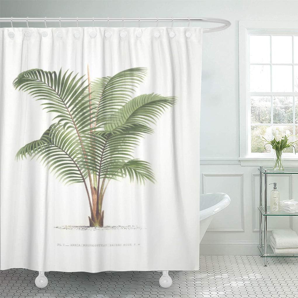 Cynlon Rhopalostylis Palm Tree, Tommy Bahama Palm Leaf Shower Curtain