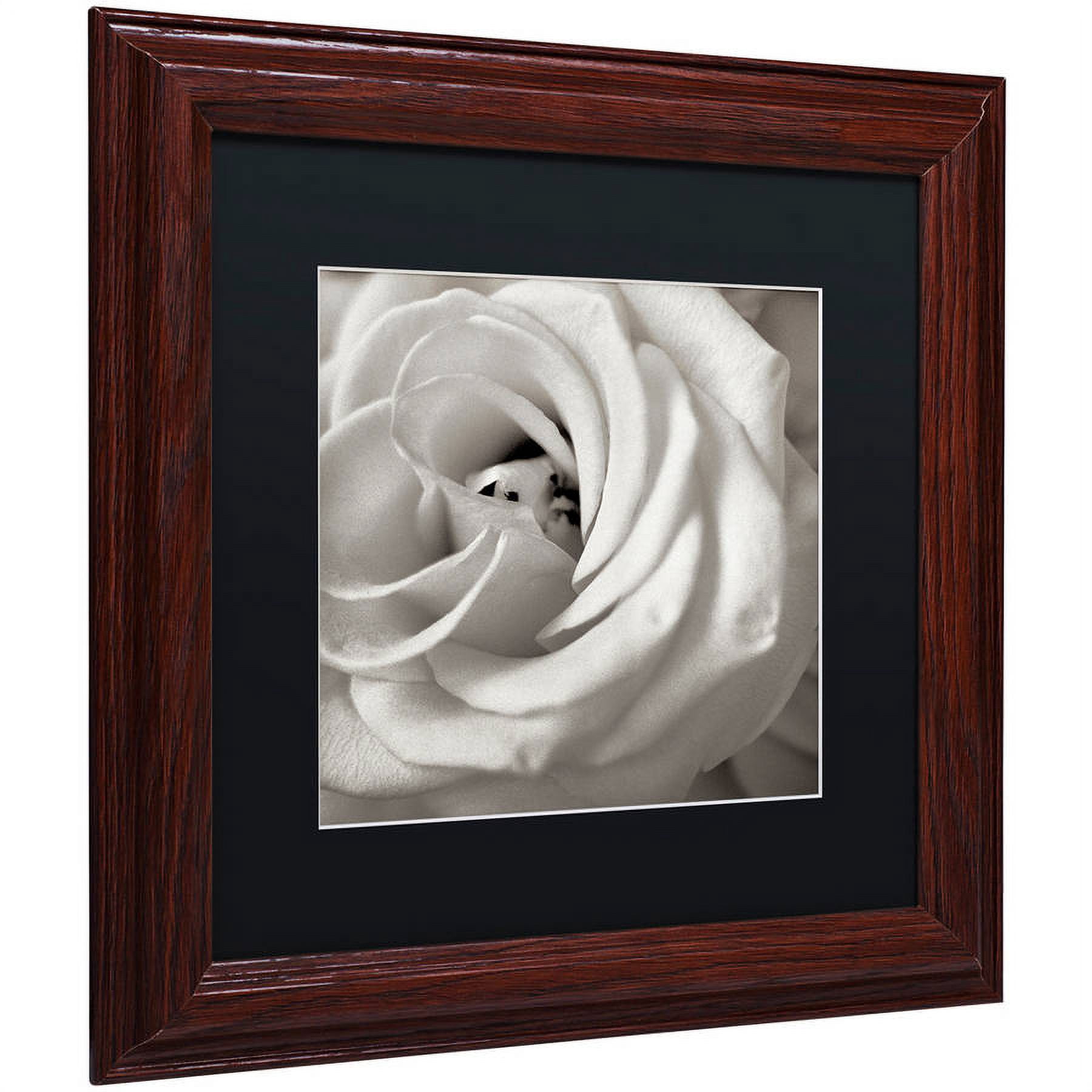 Trademark Fine Art "Florison 43" Canvas Art by Alan Blaustein, Black Matte, Wood Frame