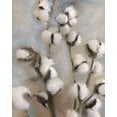 thumbnail image 2 of Kimberly, Allen 26x32 White Modern Wood Framed Museum Art Print Titled - Sprays of Cotton 1, 2 of 4