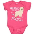 thumbnail image 3 of Inktastic Grandma's You Say Alpaca My Bags Boys or Girls Baby Bodysuit, 3 of 5