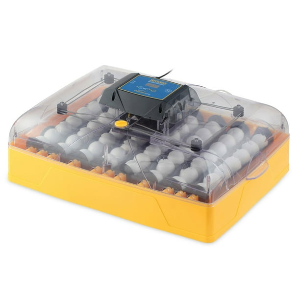 Ovation 56 EX fully automatic egg incubator with humidity control