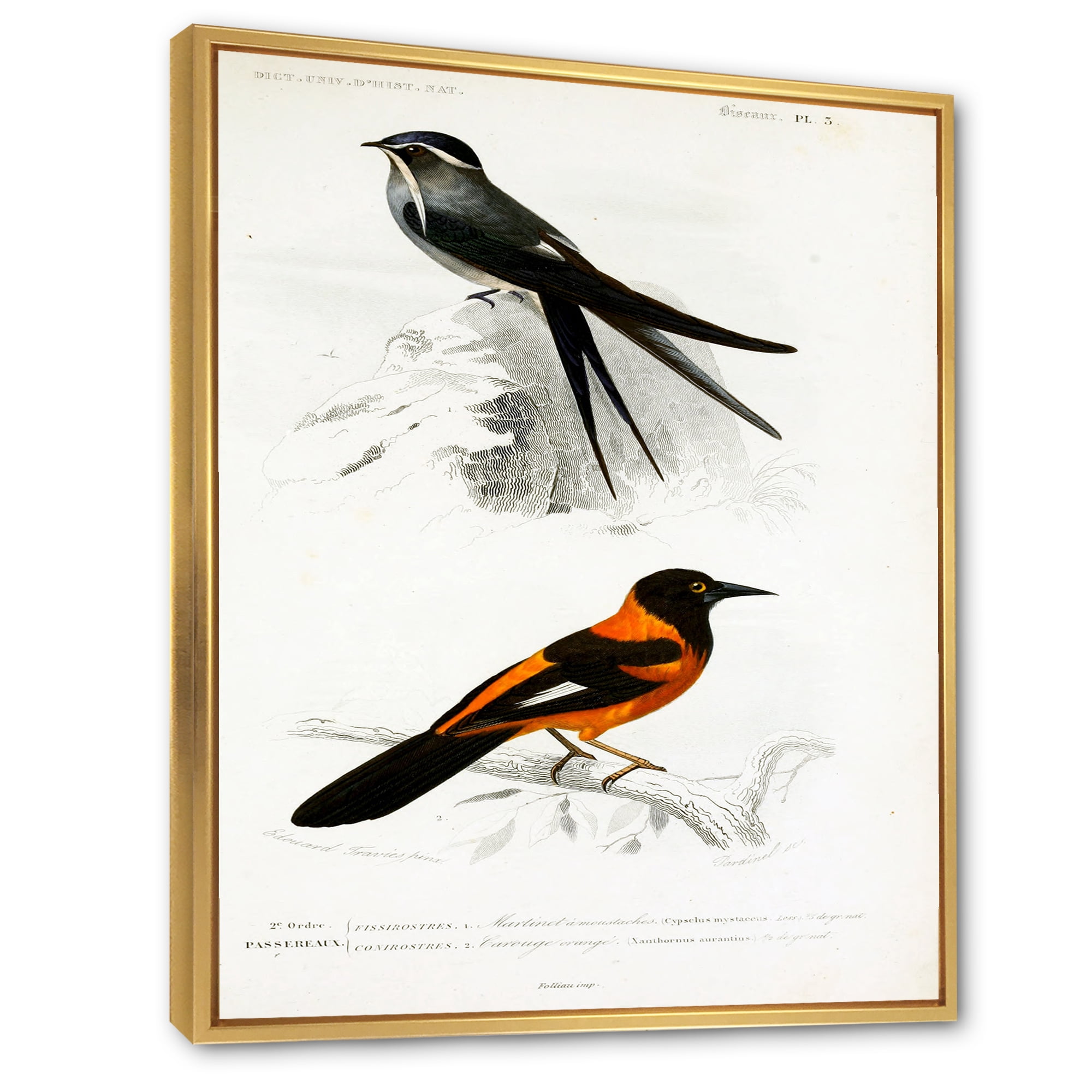 Designart 'Ancient Bird II' Traditional Framed Canvas Wall Art Print