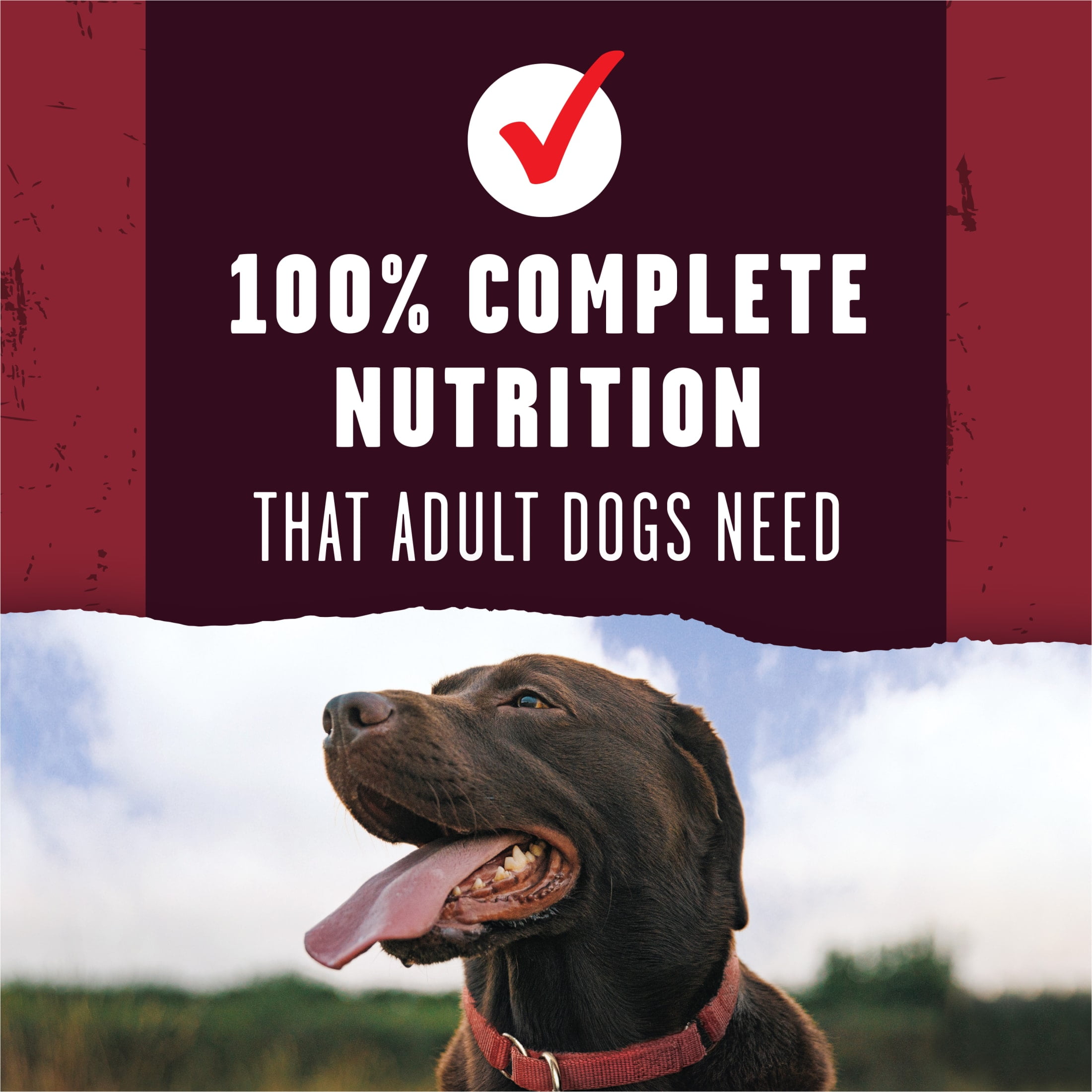 Purina ALPO Prime Cuts Savory Beef Flavor Dry Dog Food, 14 lb.