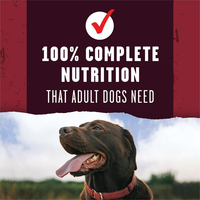 dry purina one dog food Purina ONE +Plus Skin & Coat Formula Dry Dog Food main image 1