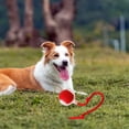 thumbnail image 4 of Lettuce Interactive Cat Toys Rolling Ball, Smart Interactive Dog Toys, Electric Cat Toy Ball Rechargeable, 4 of 9
