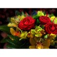 thumbnail image 1 of Pintura de diamante (DB3410) Cuadrado 5D Rhinestone DIY Ramo de flores (c1013) 30x40cm FLhrweasw Nuevo, 1 of 1