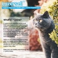 thumbnail image 2 of Suplemento de L-lisina para el apoyo inmunológico y la salud respiratoria de los gatos, 2 of 9