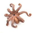 thumbnail image 5 of Realistic Octopus Model Fish Figurine Fancy Aquarium Supplies Miniature PVC Statue Classroom Props Supplies Science Toy, 5 of 9
