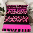 thumbnail image 2 of Feelyou Zebra Cheetah Print Queen Sheet Sets, Modern Fashion Teen Bed Set, 4 Pieces, 2 of 7