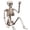 A(16"), variant on Yujia Halloween 16" Full Body Skeleton with LED String Lights, Posable Human Figurine for Party, Articulated Hanging Prop for Haunted House Yard Display, Durable Home Decor