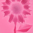 thumbnail image 3 of Advancent Molde de silicona con forma de girasol, molde reutilizable antiadherente resistente al calor para azúcar, caramelo, Chocolate, molde de Artesanía Advancent HA080567-00, 3 of 6