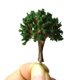 thumbnail image 3 of Árboles modelo TFixol, 3 of 7
